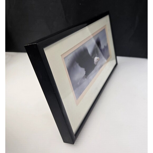 Excellence King Of The Skies Eagle Framed Photo Art Frank Oberle Photography - Picture 5 of 13